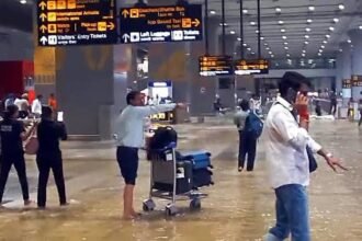 Capital Paralyzed: Heavy Downpours Inundate Delhi Airport Forecourts; Flight Operations and City Commutes Thrown into Turmoil
